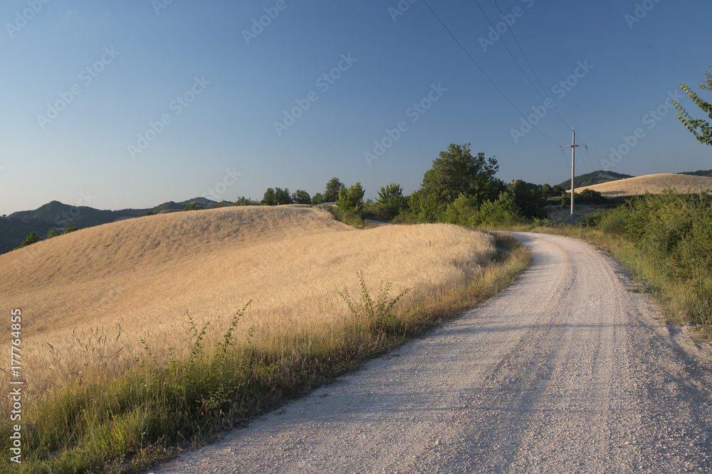 Landscape in Montefeltro near Urbino (Marches, Italy)