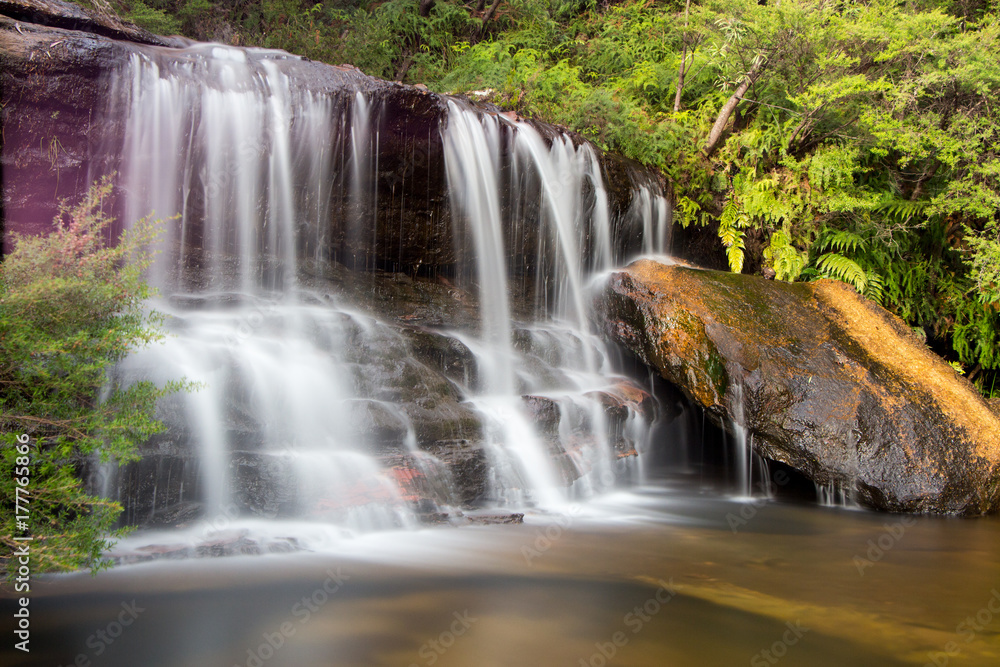 Fototapeta premium Wasserfall Blue Mountains