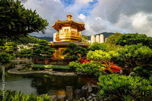 Wallpaper Mural Nan Lian garden with golden pavilion, Hong Kong. A public chinese classical park in Diamond Hill, Kowloon Torontodigital.ca