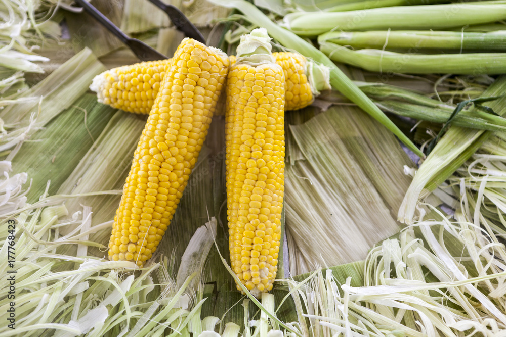Large boiled corn at the village market. Large boiled corn at the village market.