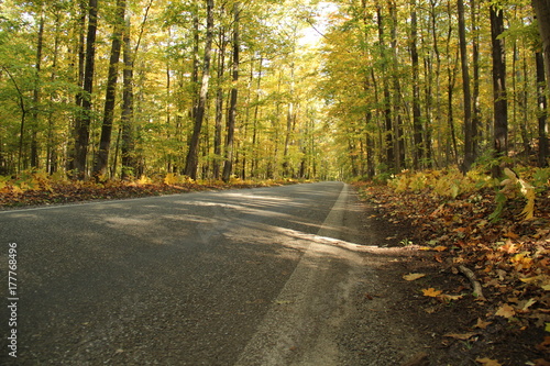 Fall Colors in Michigan