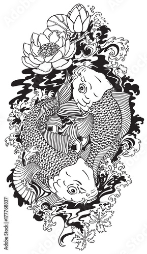 two koi gold carp fishes . Lotus flower with water splash and feng shui money coins .Black and white  tattoo style vector illustration
