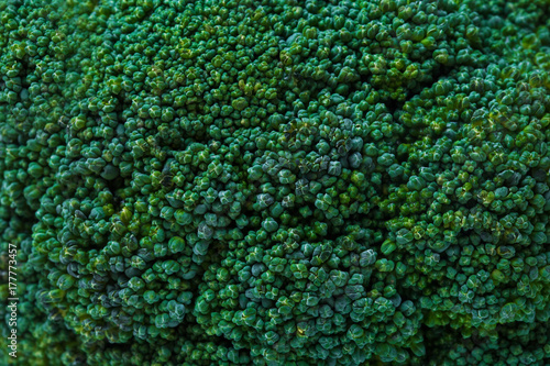 Green broccoli texture, background