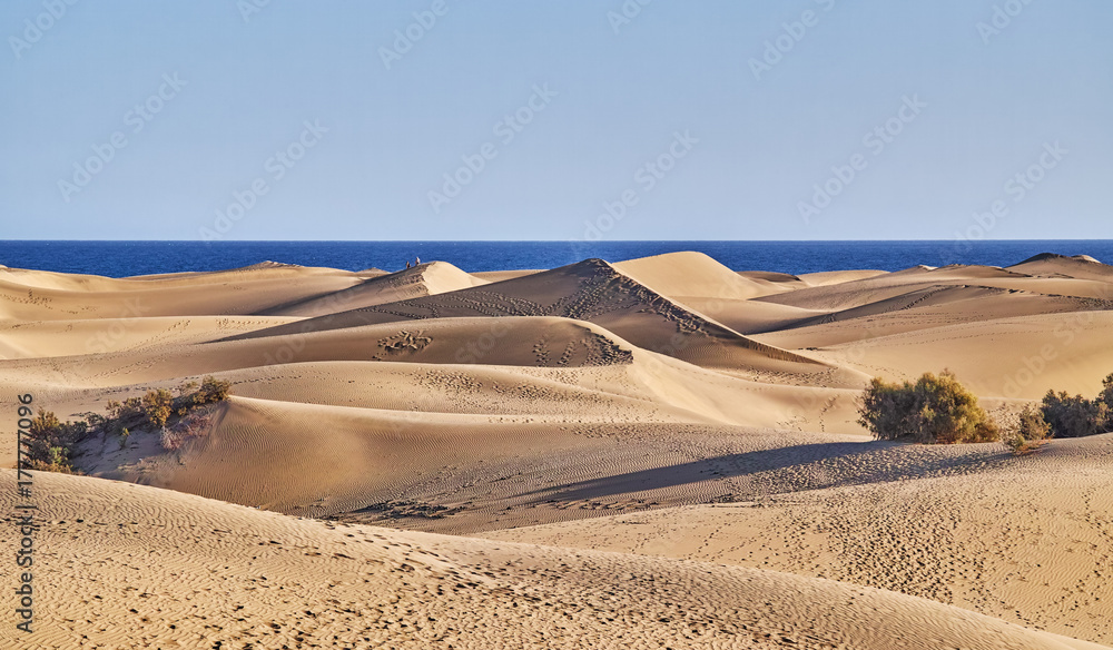 Fotografie Dünen von Maspalomas
