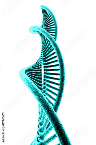 3d rendered dna in white background