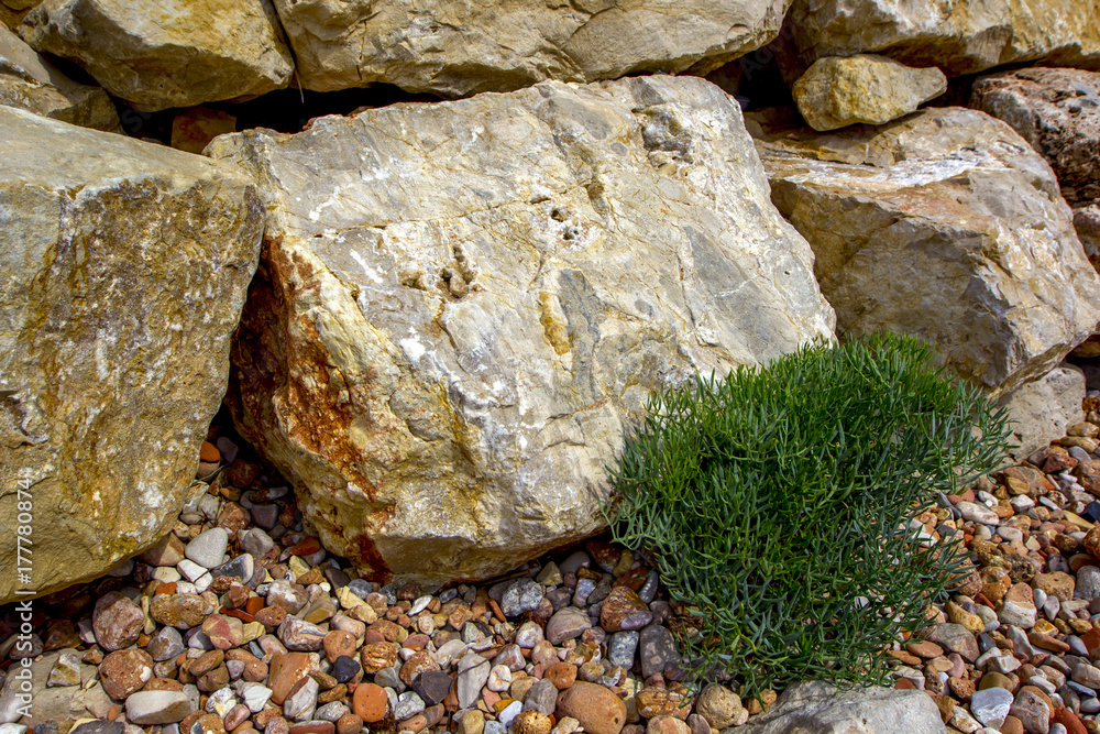 Old sea stone background - natural rock texture yellow color. 