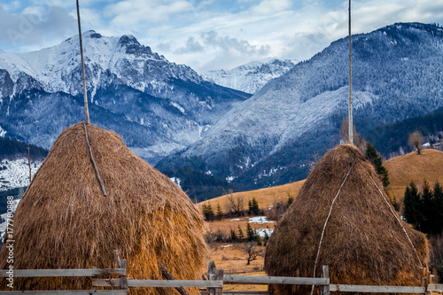 winter landscape in Romania. Haystacks and snowy Bucegi mountains (Carpathians) seen from Bran village, Transylvania. Romanian nature, landscape, scenery in wintertime. 
