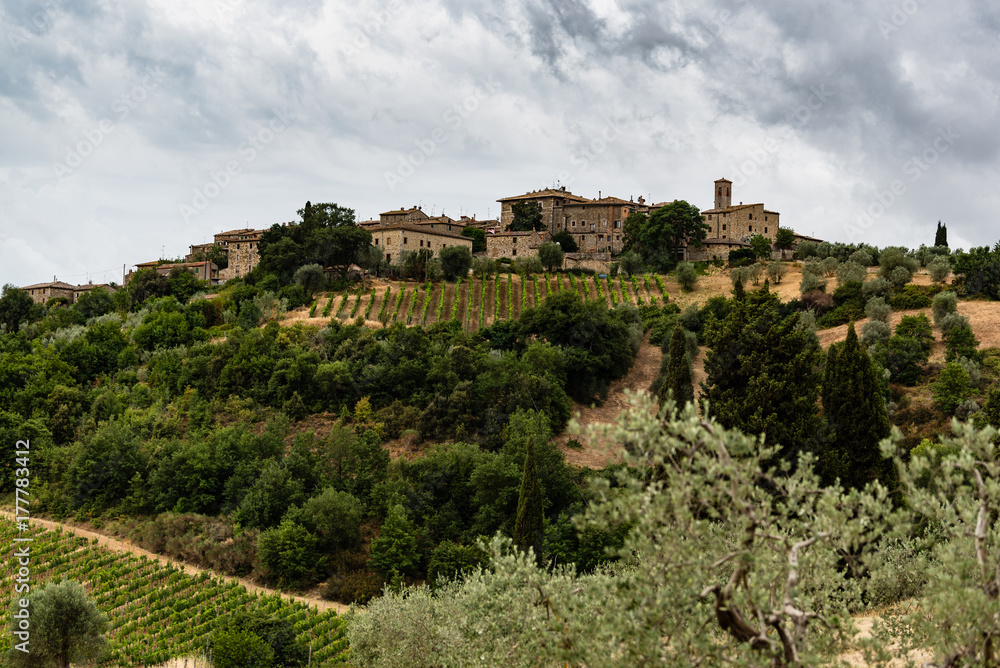 Tuscan town overlooking the vineyards.
