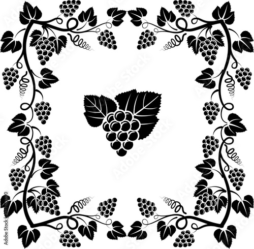 bunch of vine and frame with grapevine