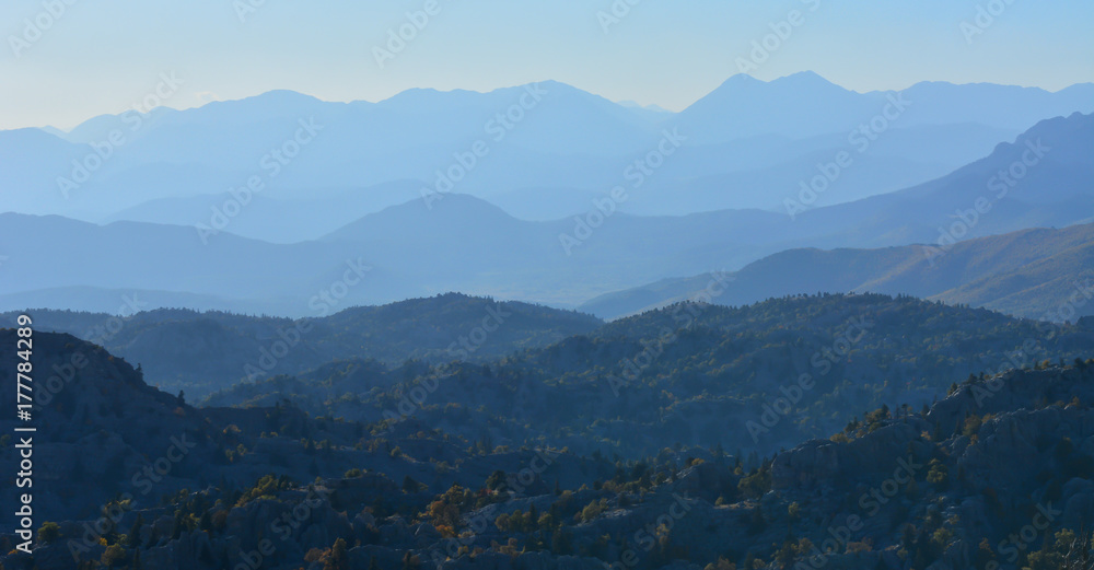 Obraz premium Vahşi Doğa