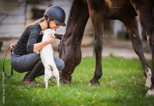 Quadro su tela Young girl preparing horse for ride and petting jack russel terrier puppy