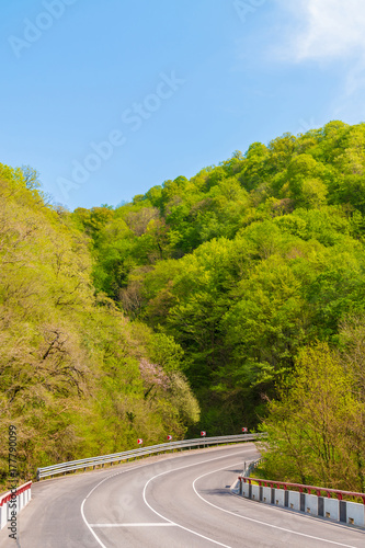A hairpin turn on the background of mountainsides with thicket in bright summer day