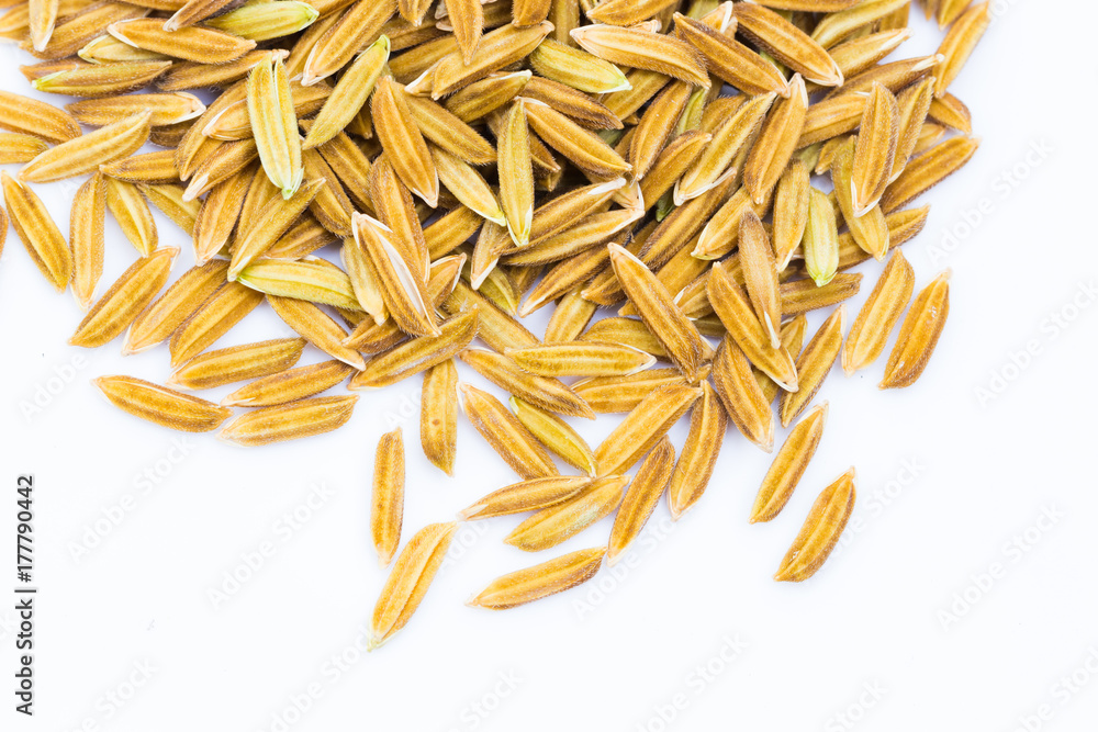 Close up macro rice grain isolated on white