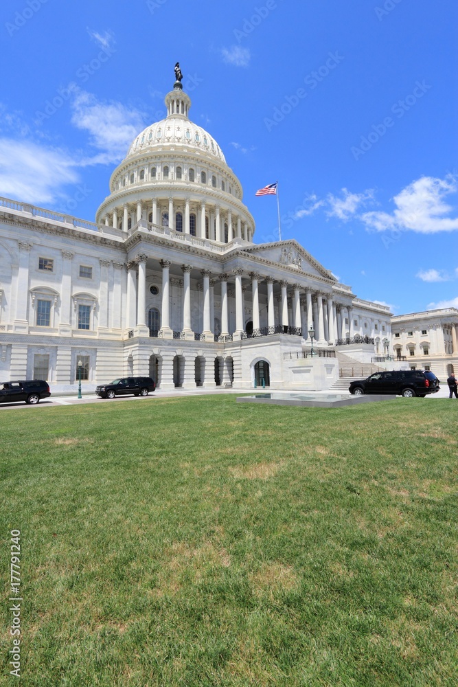 Obraz premium US Capitol