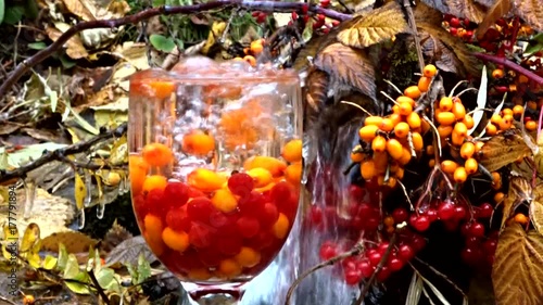 glass with berries and a waterfall