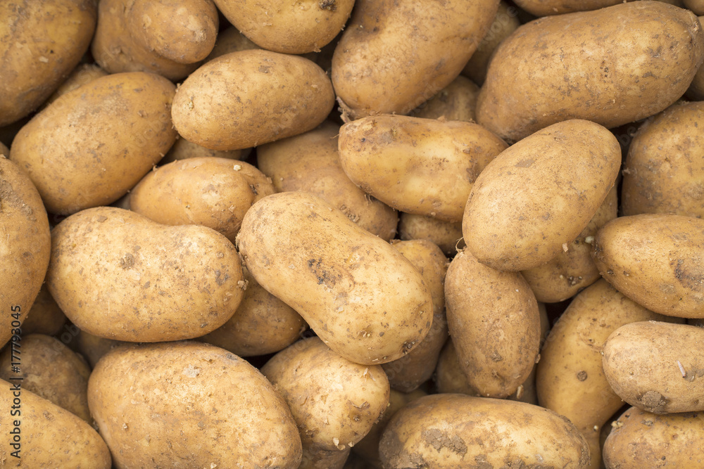 Potatoes in the market - Solanum tuberosum Potatoes in the market - Solanum tuberosum