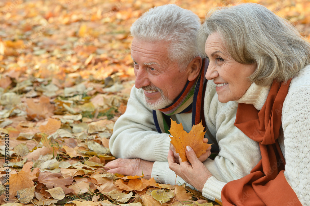 couple in autumn park lying