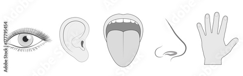 Five senses - sight, hearing, taste, smell and touch - schematic isolated vector icon illustration set of eye, ear, tongue, nose and hand on white background.