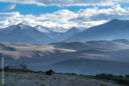 Landscape around Tso Moriri Lake in Ladakh, India	 photo