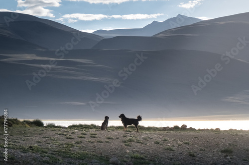 Landscape around Tso Moriri Lake in Ladakh, India 