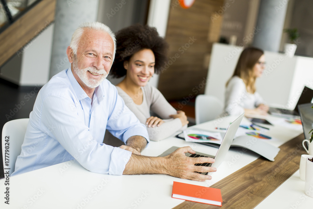 Fototapeta premium Businesspeople working in team