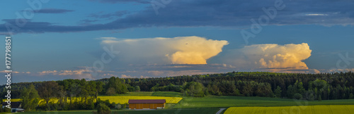 Panorama Landschaft mit Rapsfeldern