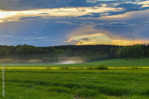 Sonnenuntergang am Waldrand