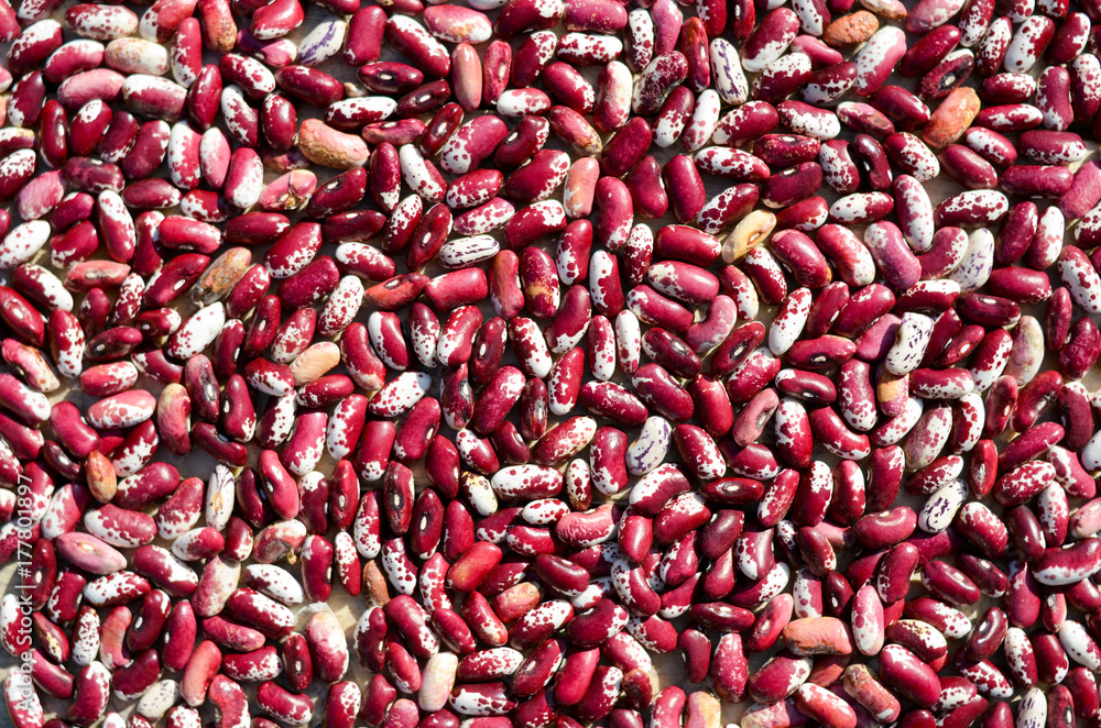 Closeup image of red white haricot kidney beans background Closeup image of red white haricot kidney beans background