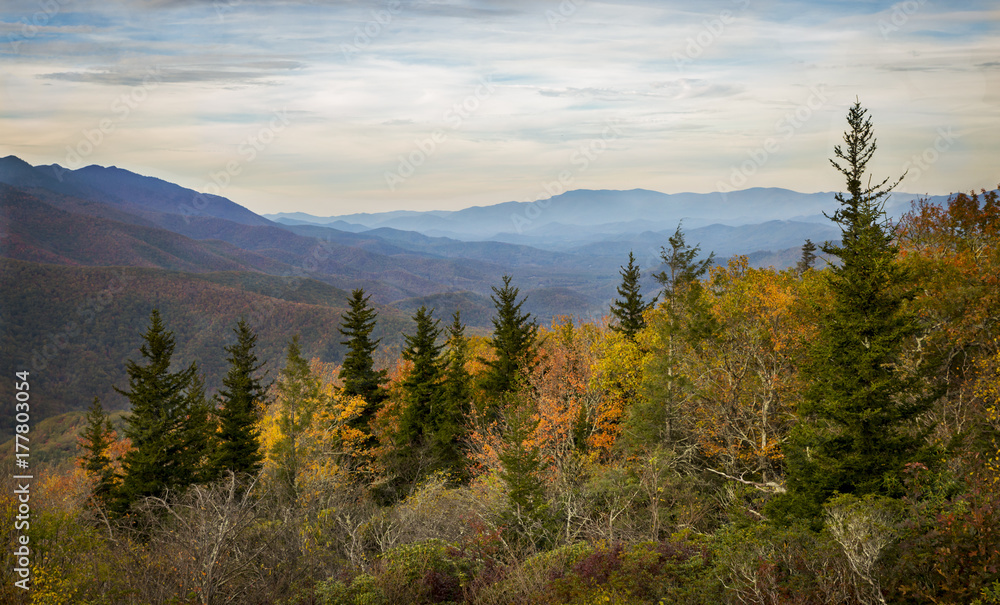 Scenic overlook on the blue ridge parkway in North Carolina