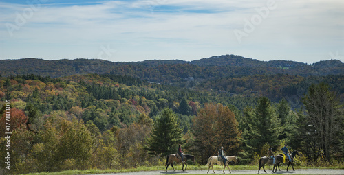 Evening ride overlooking fall colors on the blue ridge parkway in North Carolina