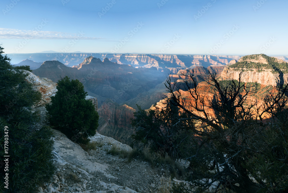 Cape Royal morning. North Rim Grand Canyon National Park Arizona, US