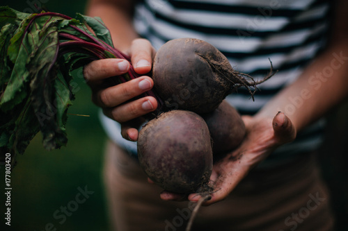 Fresh beetroot