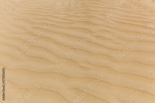 Yellow sand texture for background abstract waves on the sand