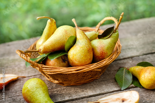 Picked pears in wicker basket