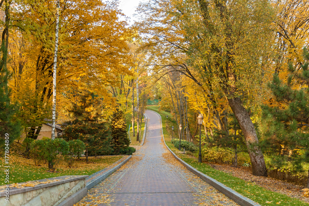 beautiful autumn park at sunny weather. a footpath in an autumn park