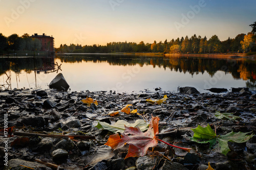 Autumn leaves on gentle sunset.