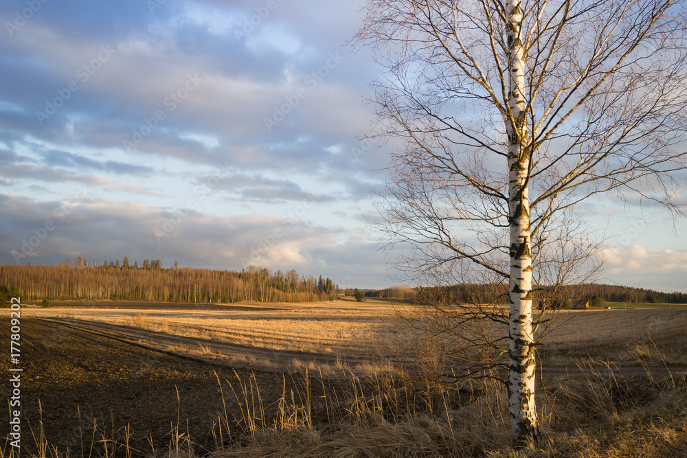 Countryside in Finland