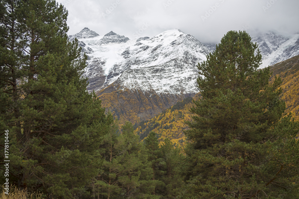 Осенний лес в горном ущелье, облачное небо над вершинами. Дикая природа Северного Кавказа, живописный пейзаж