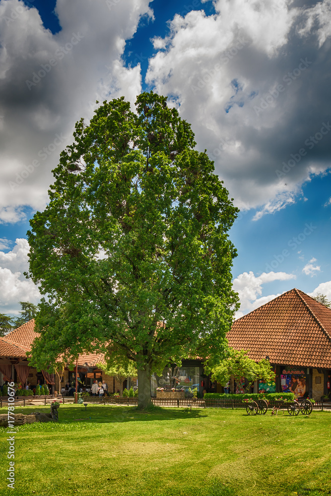 Fototapeta premium Svilajnac, Serbia May 17, 2017: Restaurant old oak in Serbia