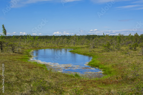 Kemeri National Park view, Latvia