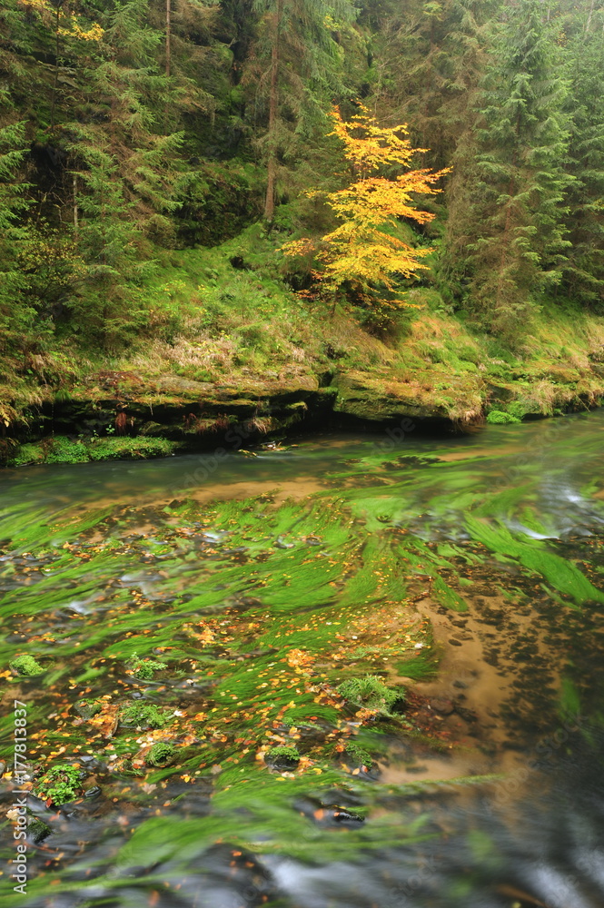 Autumn colors river Autumn colors river