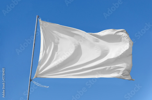 flag waving on the sky