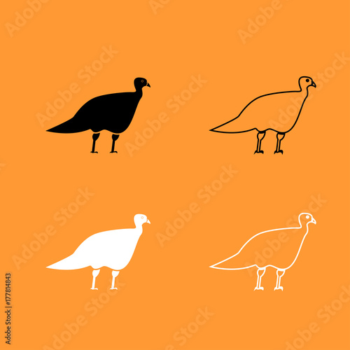 Turkeycock black and white set icon .