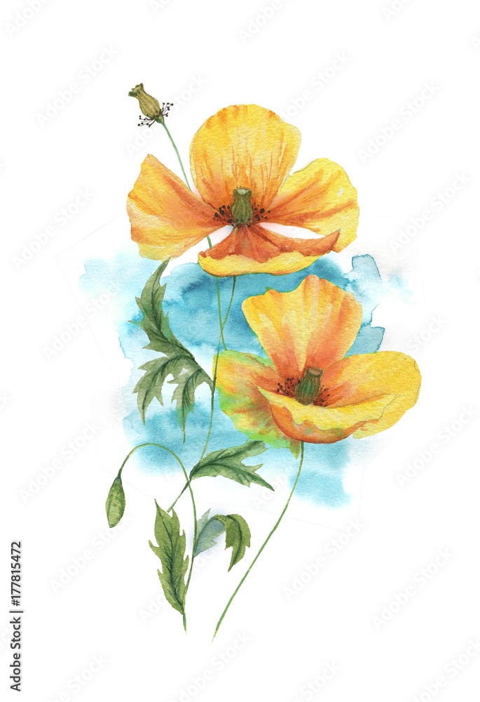 Hand drawn watercolor floral illustration. Tattoo sketch template with ...