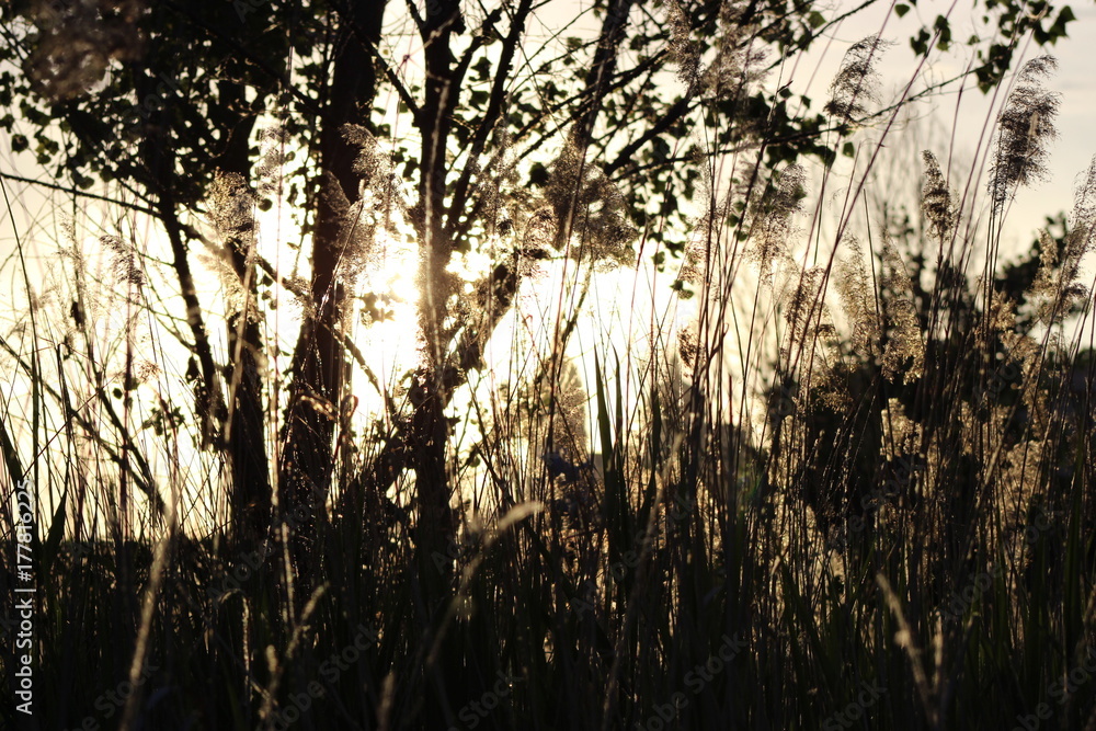 Atardecer Atardecer