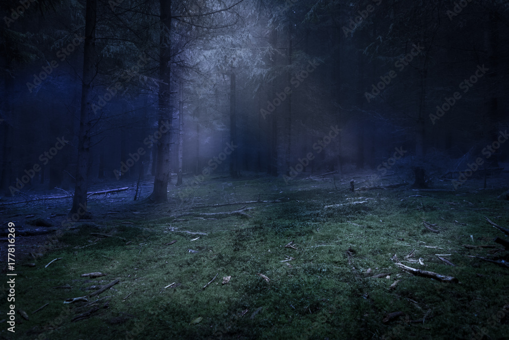 Fototapeta premium Dark forest and green den with mist and moonlight