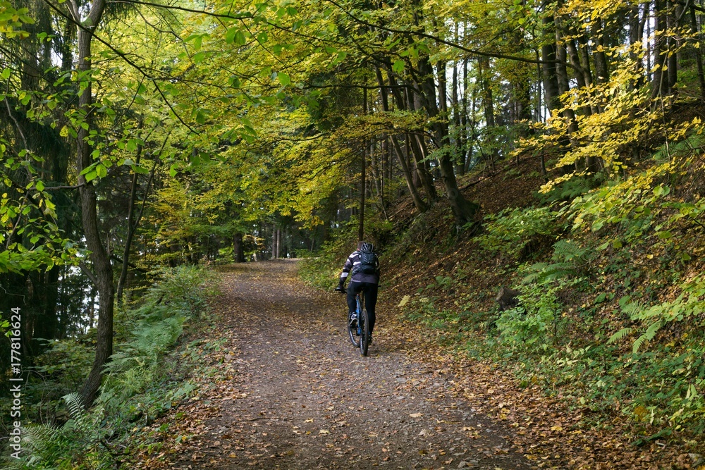 Obraz premium Cyclist in the forest. Slovakia