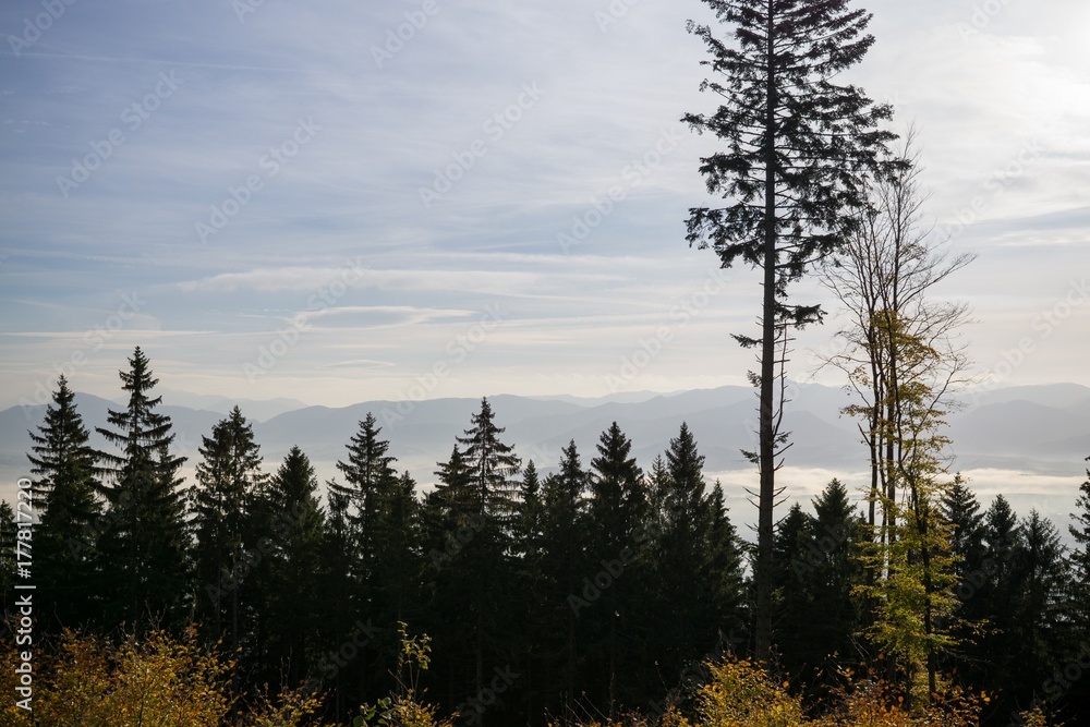 View from mountains with cloudy inversion below. Slovakia