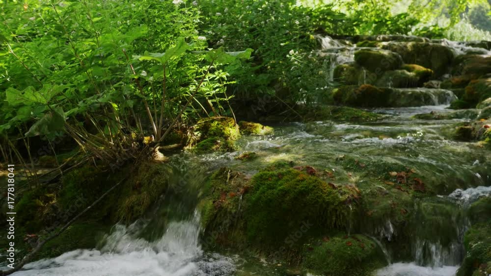 River in Plitvice Lakes National Park River in Plitvice Lakes National Park