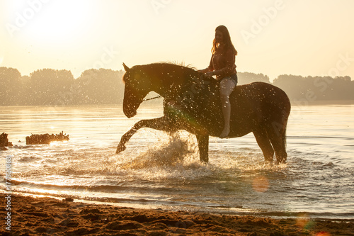 Pferd im Sonnenaufgang im See photo